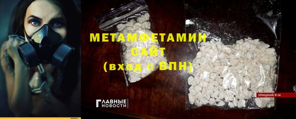 шишки Сосновый Бор