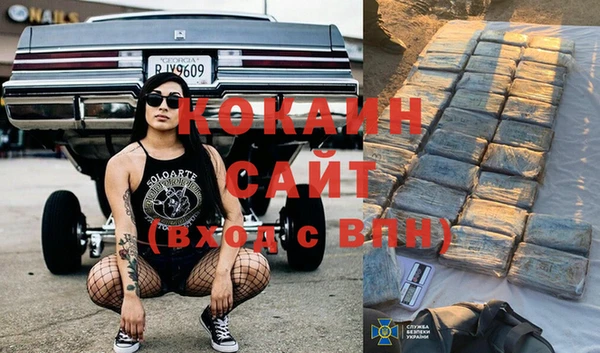 ECSTASY Богородицк